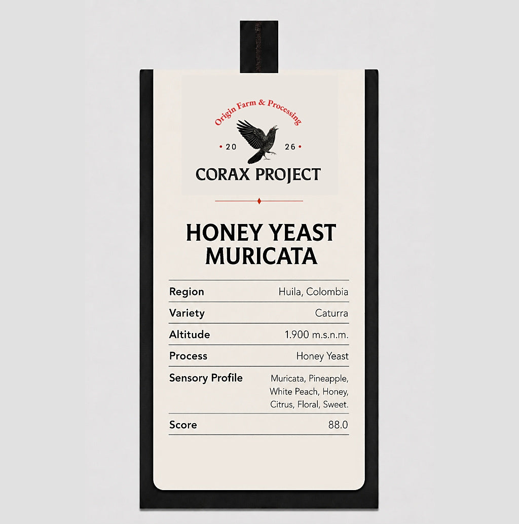 Honey yeast Muricata